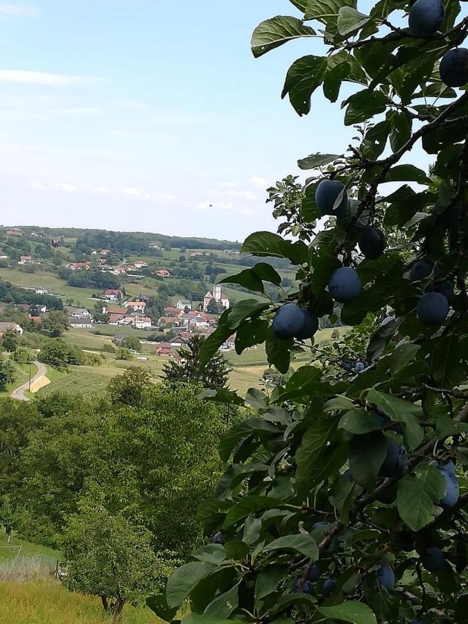 Kronprinz-Rudolf-Hof Unterlamm Kültér fotó